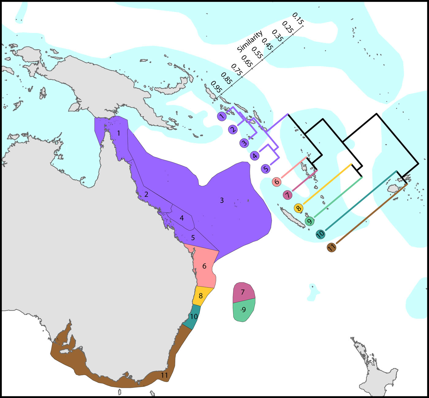 Species affinity eastern Australia