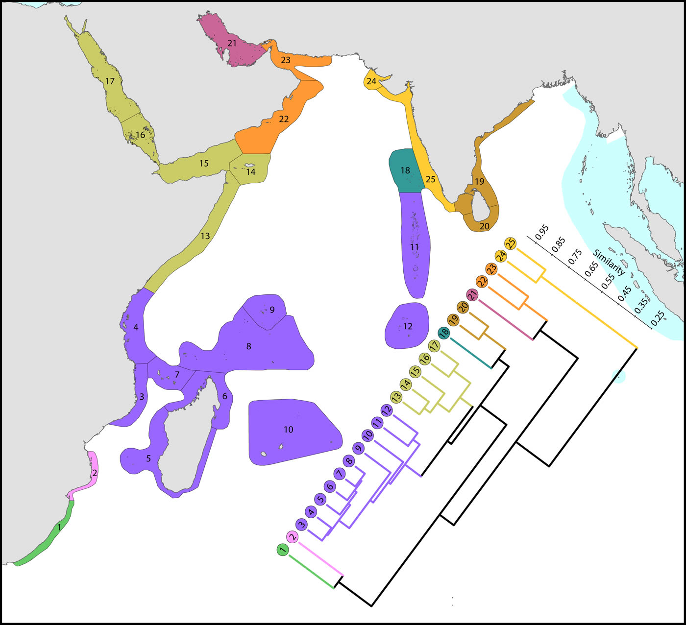 Species affinity western Indian Ocean