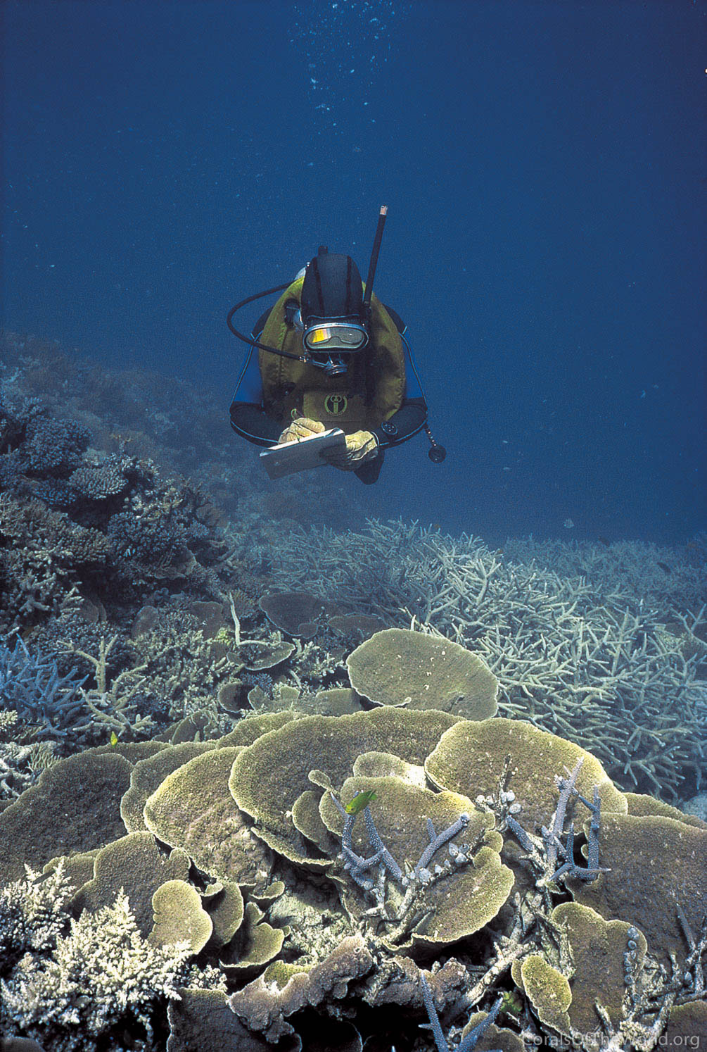 Underwater observer