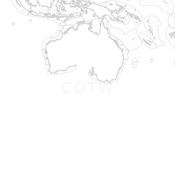 Corals Of The World